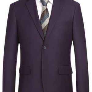 Renoir Men's Suit 201-14-PURPLE
